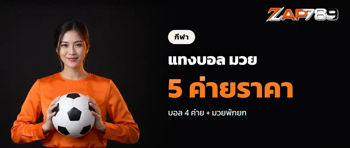 แทงบอลและแทงมวย ZAP789 ราคาจากห้าผู้ให้บริการ แทงบอลและแทงมวย ZAP789 ราคาจากห้าผู้ให้บริการ